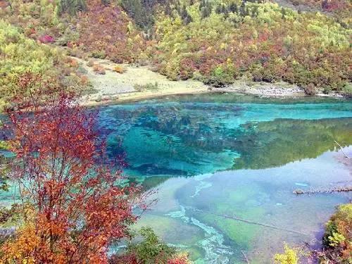 嫪毐最终下场有多惨?除了商鞅外,他的死法在大秦独此一份